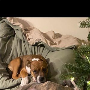 Meet your Posher, Logan